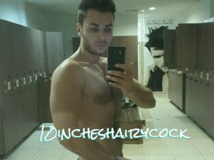 10incheshairycock