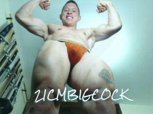 21CMBIGCOCK