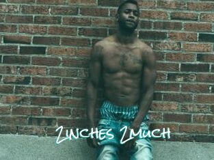 2inches_2much