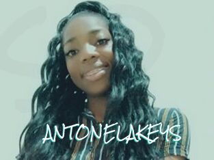 ANTONELAKEYS