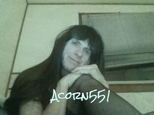 Acorn551