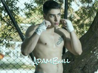 AdamBull