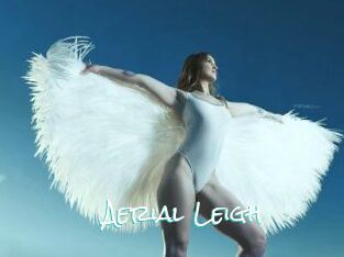 Aerial_Leigh