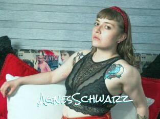 AgnesSchwarz