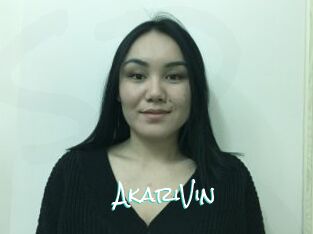 AkariVin