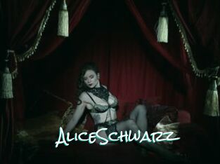 AliceSchwarz