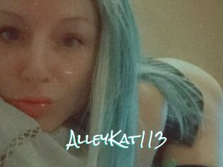 AlleyKat113