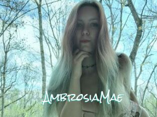AmbrosiaMae