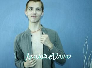 AmiableDavid