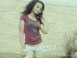 Amina2017