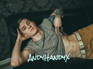 AndyHandyX