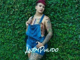 AndyPulido