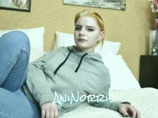 AniNorris
