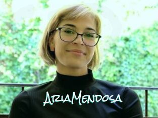 AriaMendosa