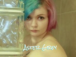 Aster_Grey