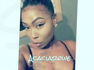 Acacia_rowe