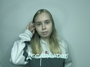 Accadavidge