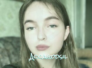 Accagodsil
