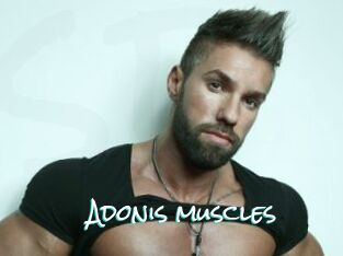 Adonis_muscles