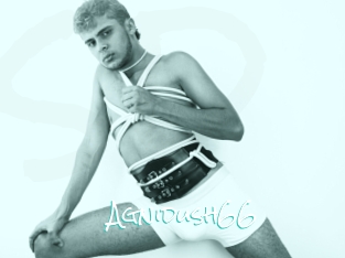 Agnidush66