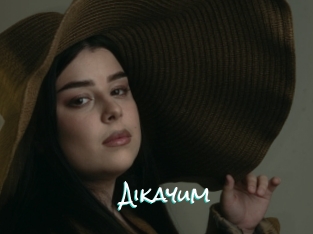 Aikayum