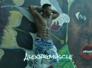 Alexbigmuscle
