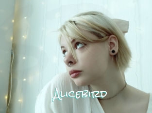 Alicebird