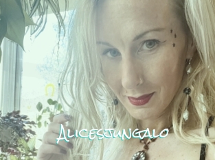 Alicesjungalo