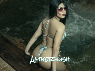 amberbush Sensuality Dream