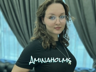 Aminaholms