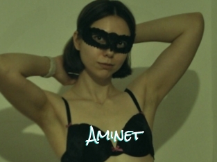 Aminet