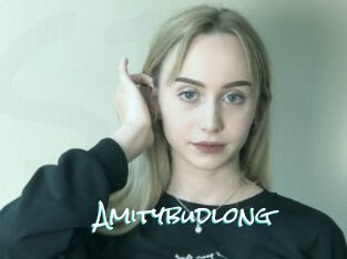 Amitybudlong