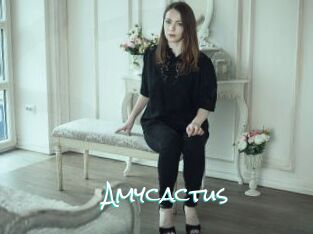 Amycactus