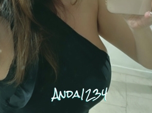 Anda1234