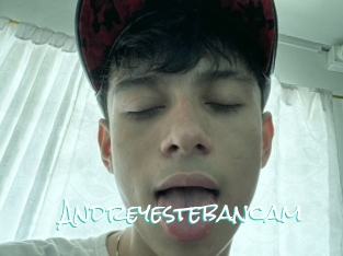 Andreyestebancam