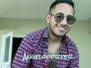 Angeloporter