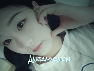 Anjamignon