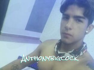 Anthonybigcock