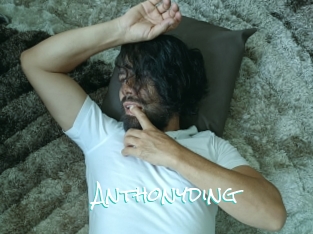 anthonyding Sensuality Dream