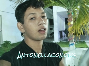 Antonellaconors