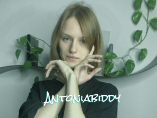 Antoniabiddy