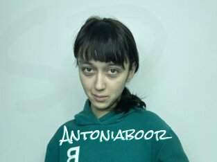 Antoniaboor
