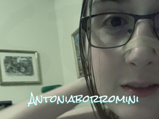 Antoniaborromini