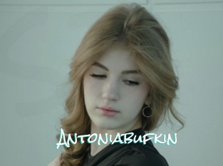 Antoniabufkin