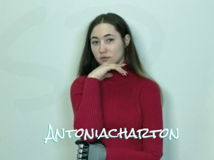 Antoniacharton