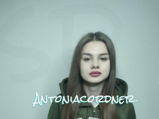 Antoniacordner