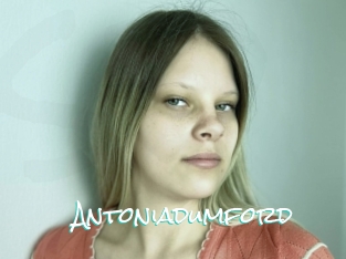 Antoniadumford