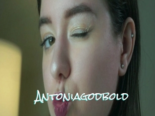 Antoniagodbold