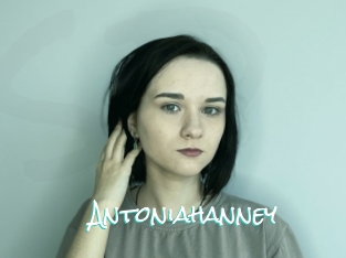Antoniahanney