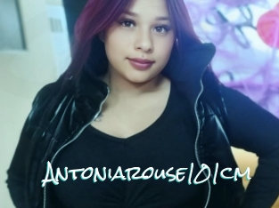 Antoniarouse101cm